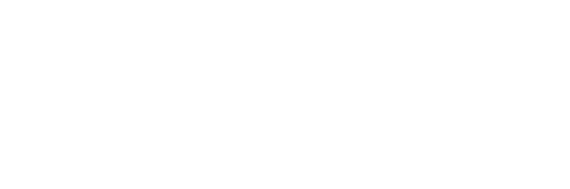 Website Vector MEDIA Russia