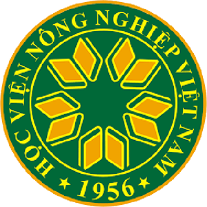 Website Vector MEDIA Russia